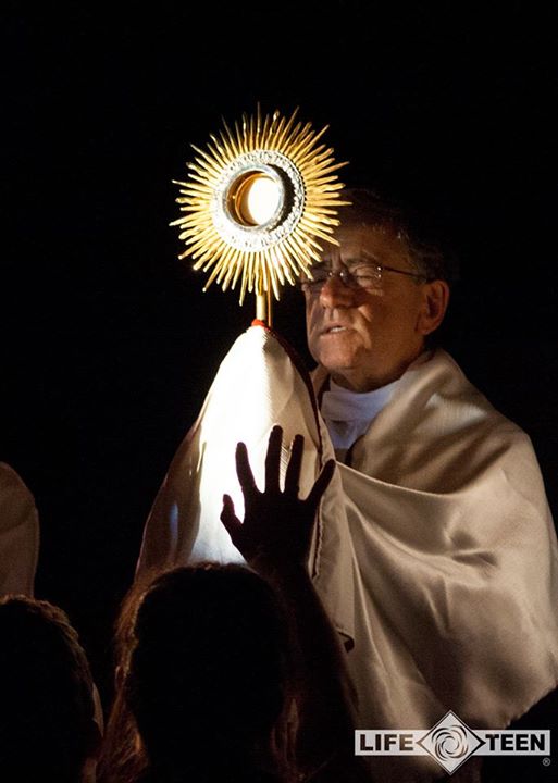 1014393_10151785499562034_786919939_n