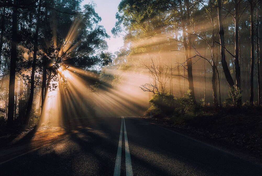 tumblr_o2hgj4s6v11uch37fo1_1280